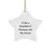 Funny Ocicat Gifts for Cat Enthusiasts, Star Ornament for Christmas Unique Gifts from Men to Women, Friends, Coworkers, Family - Image 1
