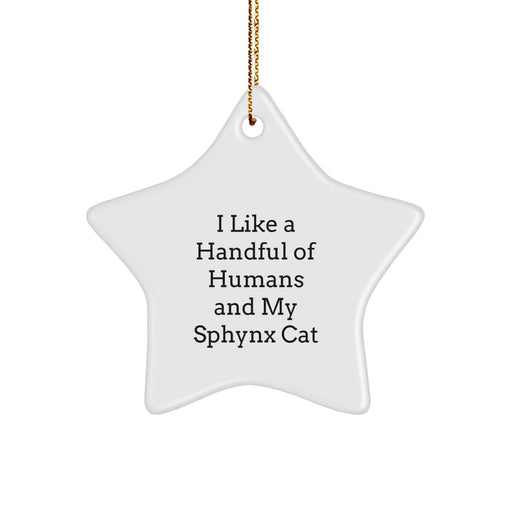 Funny Sphynx Cat Star Ornament Gifts for Men Women Friends Family This Christmas Unique Star Decoration 'I Like A Handful Of Humans And My Sphynx Cat' - Image 1