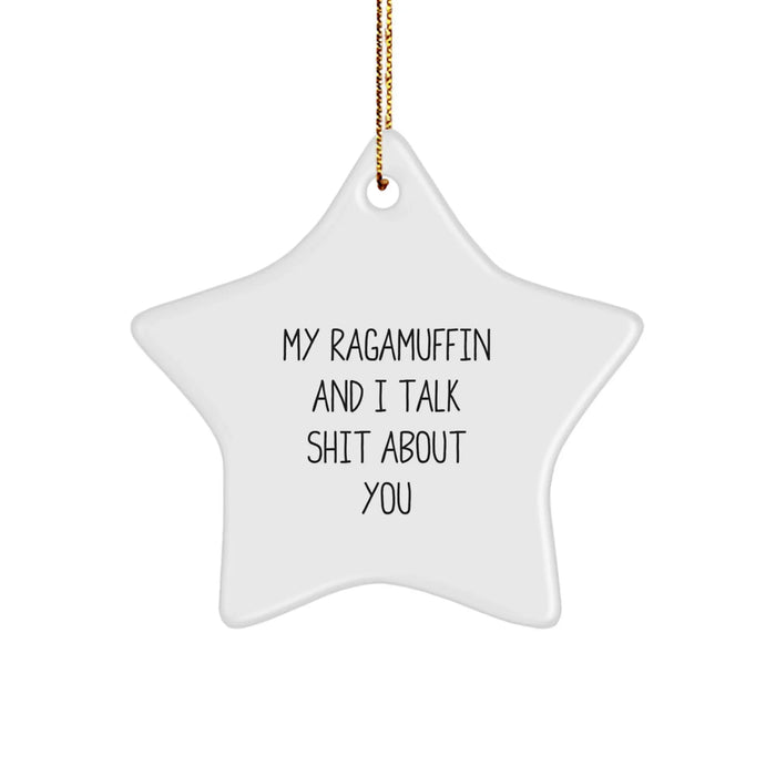 Ragamuffin Cat Lovers' Funny Star Ornament, Gifts from Friends to Family, Christmas Unique Treasures - Image 1