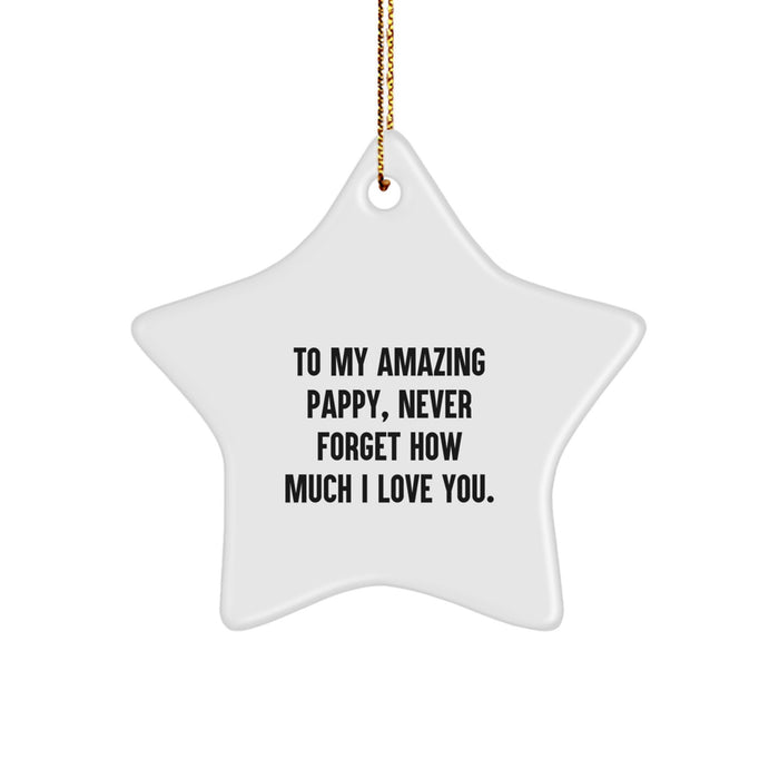 Funny Pappy Gifts from Men, Christmas Unique Star Ornament for Him, To My Amazing Pappy Never Forget How Much I Love You - Image 1
