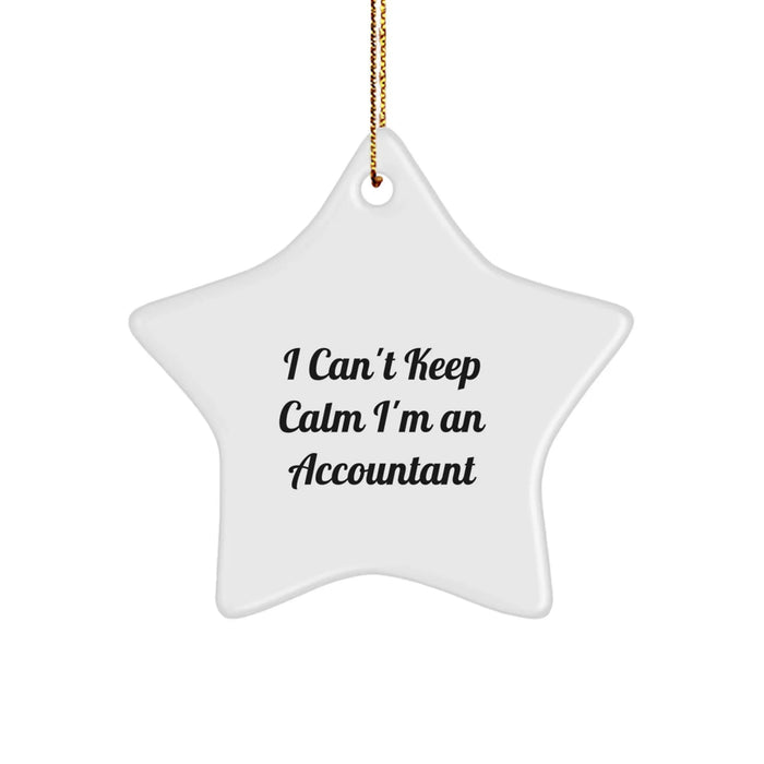 Funny Accountant Gifts, I Can't Keep Calm I'm An Accountant Star Ornament, Christmas Unique Presents from Friends and Family to Accountant - Image 1