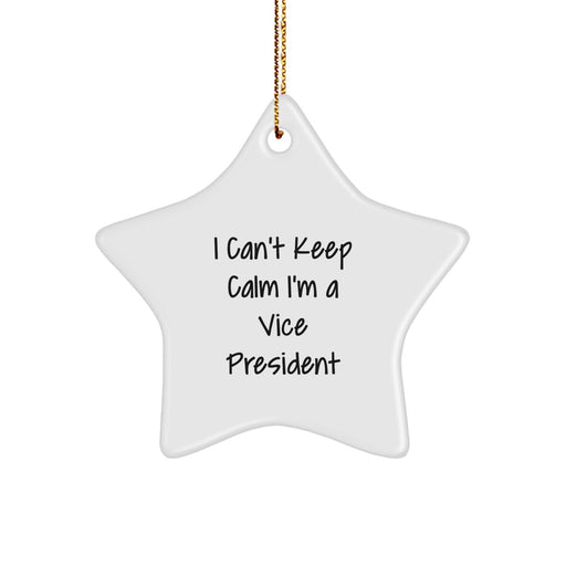 Funny Vice President Gifts from Men to Vice President Star Ornament for Christmas Unique Office Decorations I Can't Keep Calm - Image 1