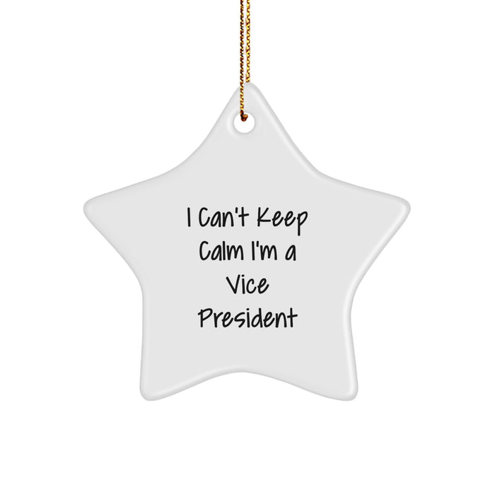 Funny Vice President Gifts from Men to Vice President Star Ornament for Christmas Unique Office Decorations I Can't Keep Calm - Image 1