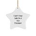 Funny Vice President Gifts from Men to Vice President Star Ornament for Christmas Unique Office Decorations I Can't Keep Calm - Image 1