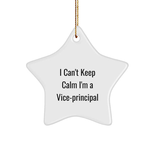 Funny Vice-principal Gifts for Men - I'm a Vice-principal Star Ornament Christmas Unique Gifts from Friends for Vice-principal - Image 1