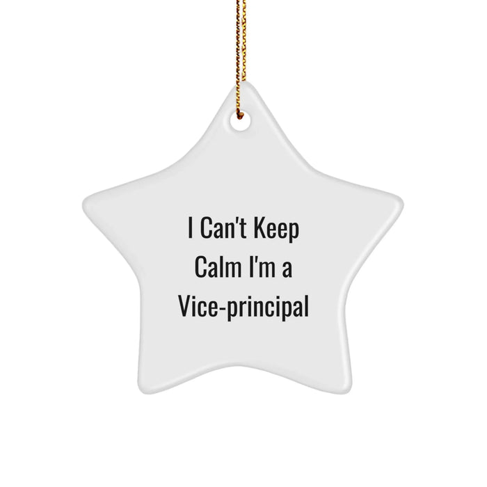 Funny Vice-principal Gifts for Men - I'm a Vice-principal Star Ornament Christmas Unique Gifts from Friends for Vice-principal - Image 1
