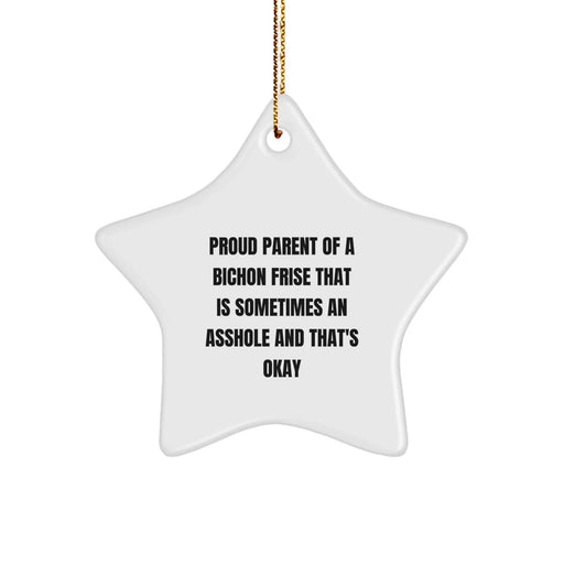 Funny Bichon Frise Dog Mom Christmas Star Ornament Gifts from Friends and Family for Bichon Frise Dog Owners - Proud Parent Quote - Image 1