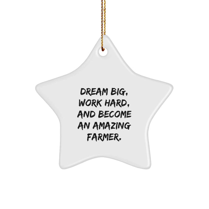 Funny Farmer Gifts - Inspirational Star Ornament for Men, Work Hard, Dream Big, Gifts from Family, for Christmas Unique Gifts - Image 1