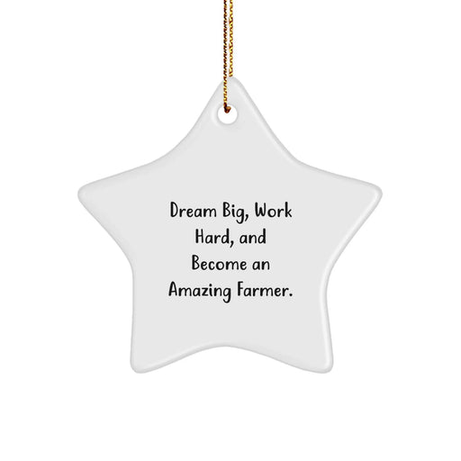 Funny Inspirational Farmer Star Ornament Gifts from Friends, Family, or Coworkers for Christmas Unique Gifts for Farmers, Men, Women, or Family Members - Image 1