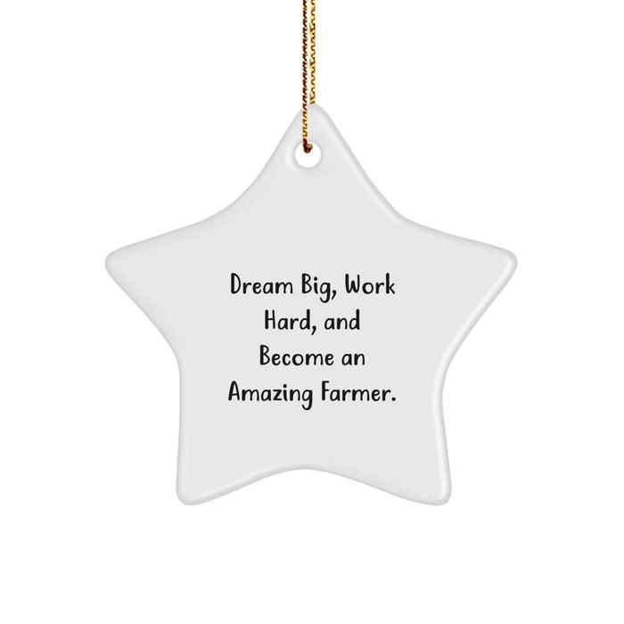 Funny Inspirational Farmer Star Ornament Gifts from Friends, Family, or Coworkers for Christmas Unique Gifts for Farmers, Men, Women, or Family Members - Image 1