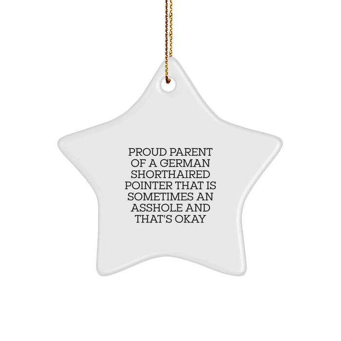 Funny German Shorthaired Pointer Dog Gifts, Proud Parent Star Ornament for Men, Women, Friends, Family, 'Sometimes An Asshole And That's Okay' Christmas Unique Gifts - Image 1