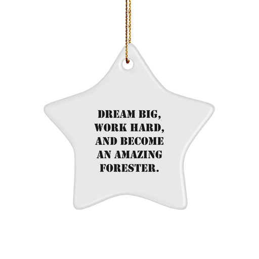 Forester Gifts from Men to Friends - Star Ornament with 'Dream Big, Work Hard, And Become An Amazing Forester.' Quote - Christmas Unique Gifts for Forester - Image 1