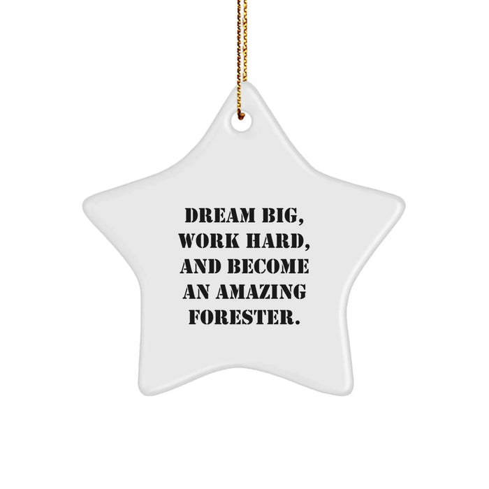 Forester Gifts from Men to Friends - Star Ornament with 'Dream Big, Work Hard, And Become An Amazing Forester.' Quote - Christmas Unique Gifts for Forester - Image 1
