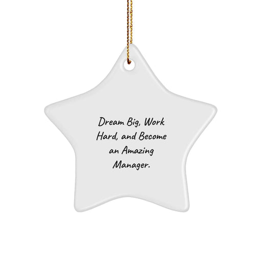Funny Manager Gifts for Men Star Ornament - Dream Big Work Hard, Become Amazing - Christmas Decoration - Image 1