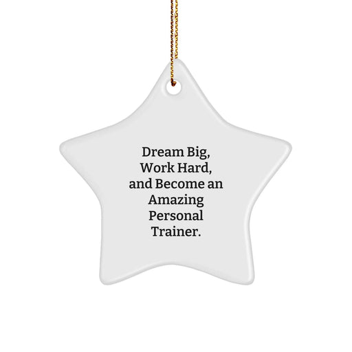Funny Quote Personal Trainer Gifts from Friends for Christmas Unique Star Ornament - Image 1