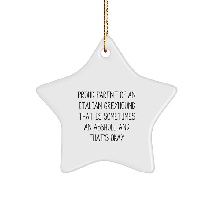 Italian Greyhound Dog Lover's Star Ornament, Funny Quote Gifts from Friends and Family, Christmas Unique Presents for Italian Greyhound Dog Owners - Image 1