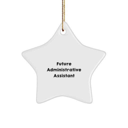 Funny Quote Administrative Assistant Star Ornament Gifts from Friends for Christmas Unique Office Decorations - Image 1