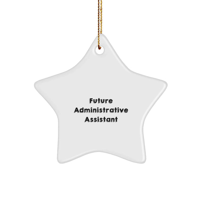 Funny Quote Administrative Assistant Star Ornament Gifts from Friends for Christmas Unique Office Decorations - Image 1