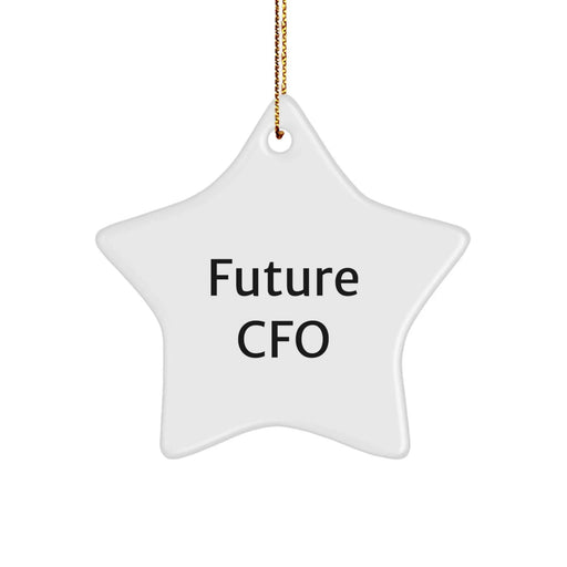 Funny Quote CFO Gifts, Star Ornament for Future CFO, Christmas Unique Gifts from Friends to Family - Image 1
