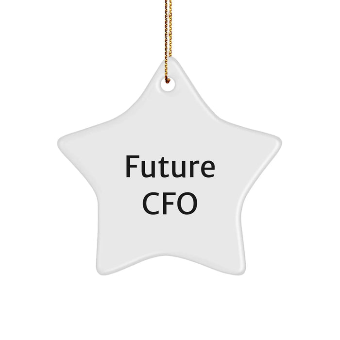 Funny Quote CFO Gifts, Star Ornament for Future CFO, Christmas Unique Gifts from Friends to Family - Image 1