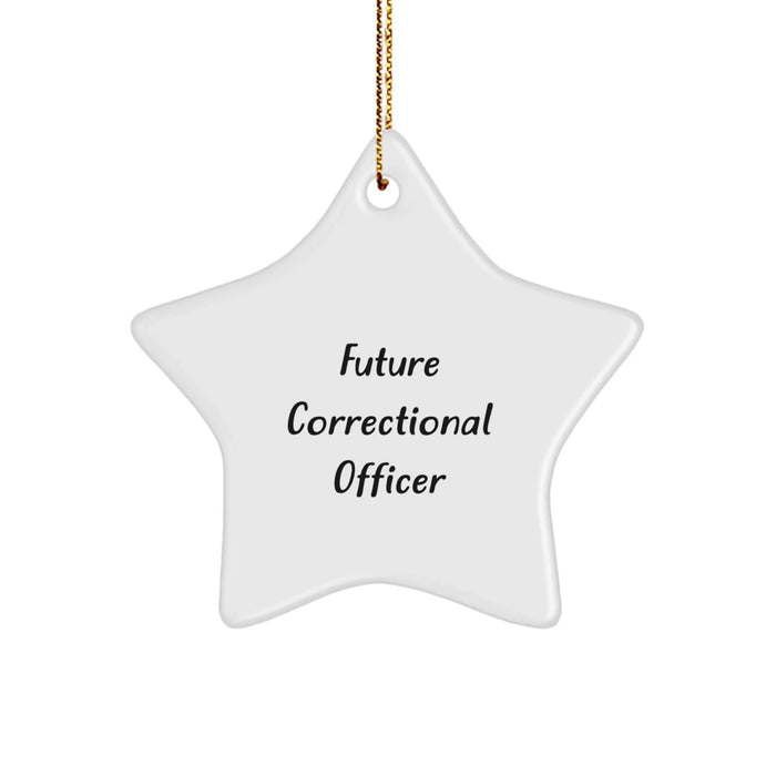 Correctional Officer Gifts for Future Correctional Officer - Funny Star Ornament, Gifts from Family to Future Correctional Officer, Christmas Unique Gifts - Image 1
