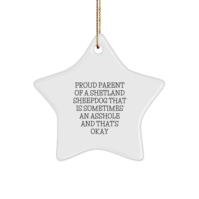 Funny Shetland Sheepdog Gifts, Star Ornament for Proud Parents, Christmas Unique Gifts from Men to Family - Image 1