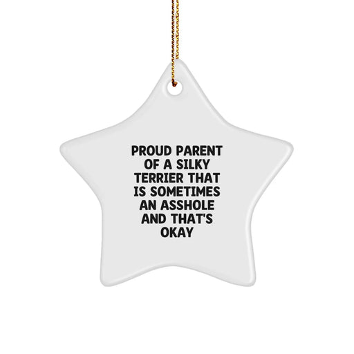 Funny Silky Terrier Dog Gifts for Christmas, Star Ornament with Inspirational Quote, Gifts from Friends, Family, or Coworkers - Image 1