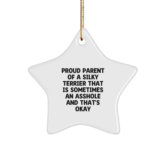 Funny Silky Terrier Dog Gifts for Christmas, Star Ornament with Inspirational Quote, Gifts from Friends, Family, or Coworkers - Image 1