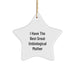 Funny Unbiological Mother Gifts from Men - I Have The Best Great Unbiological Mother Star Ornament for Christmas Unique Gifts - Image 1