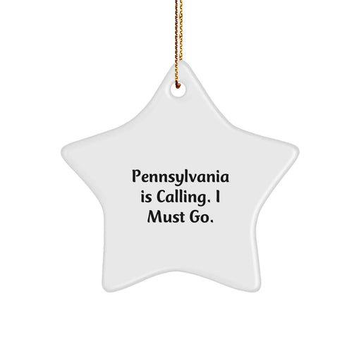 Funny Star Ornament Gifts from Pennsylvania Lovers for Christmas Decorations - Image 1