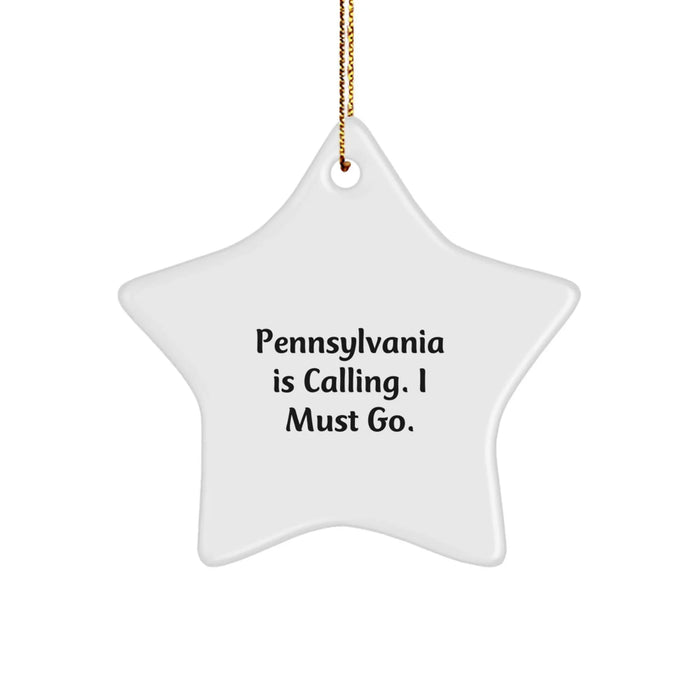 Funny Star Ornament Gifts from Pennsylvania Lovers for Christmas Decorations - Image 1
