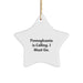 Funny Star Ornament Gifts from Pennsylvania Lovers for Christmas Decorations - Image 1