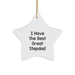 Funny Stepdad Gifts from Family, Great Stepdad Star Ornament for Christmas Unique Gifts - Image 1