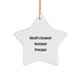Funny World's Greatest Assistant Principal Gifts from Coworkers for Christmas Unique Star Ornament - Image 1