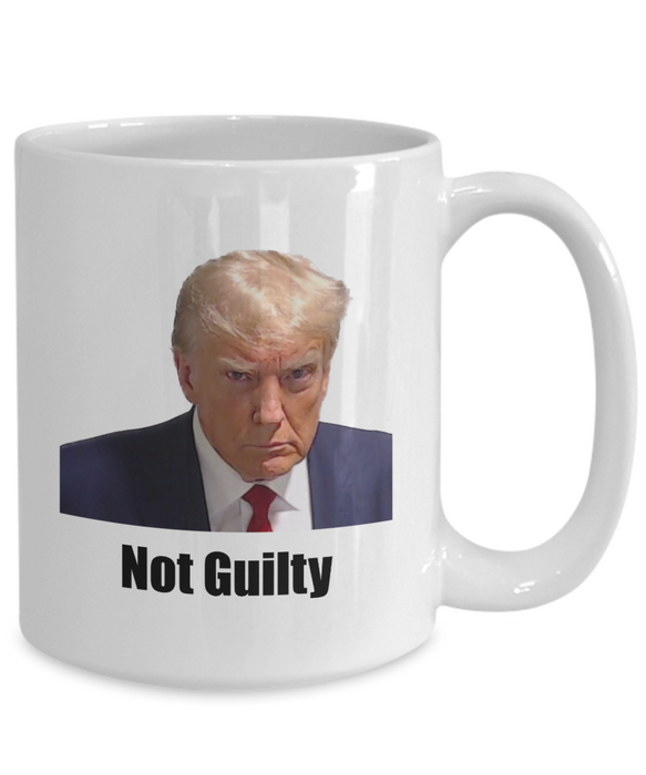 Trump Mug Shot, Mug Shot Coffee Mug, Funny Trump Gift, Trump 2024, Gift for Republican, Election Interference, Not Guilty