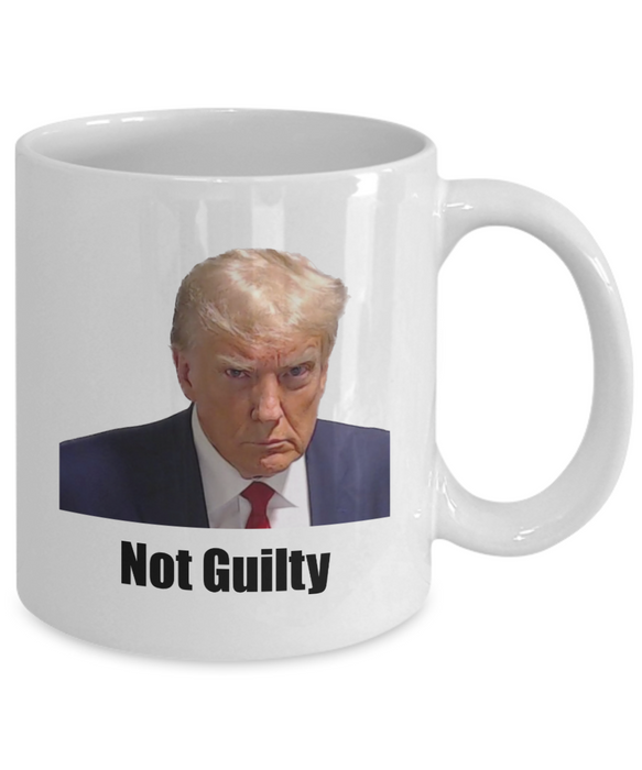 Trump Mug Shot, Mug Shot Coffee Mug, Funny Trump Gift, Trump 2024, Gift for Republican, Election Interference, Not Guilty