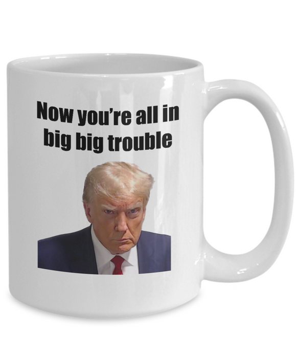 Trump Mug Shot, Mug Shot Coffee Mug, Funny Trump Gift, Trump 2024, Gift for Republican, Election Interference, Now You're All in Big Trouble