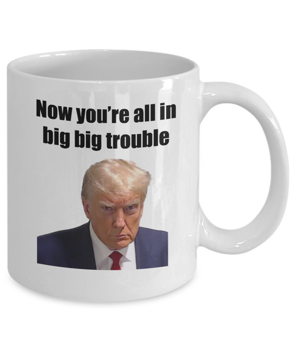 Trump Mug Shot, Mug Shot Coffee Mug, Funny Trump Gift, Trump 2024, Gift for Republican, Election Interference, Now You're All in Big Trouble