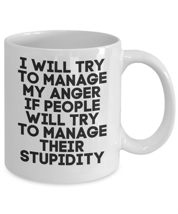 Anger Management Mug, Anger Management Coffee Mug, Stupid People, Funny Mug, Tea Cup