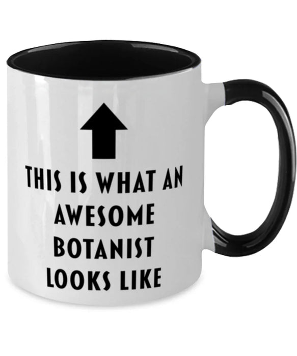 This is What an Awesome Botanist, Funny, Cheap, Inappropriate, Gift for, Black Two-Tone, Botanist Coffee Mug