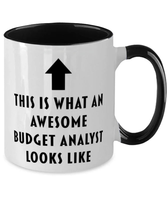 This is What an Awesome Budget Analyst, Funny, Cheap, Inappropriate, Gift for, Black Two-Tone, Budget Analyst Coffee Mug