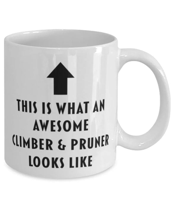 This is What an Awesome Climber & Pruner Looks Like Coffee Mug, Funny, Cheap, Inappropriate, Gift for, Mug