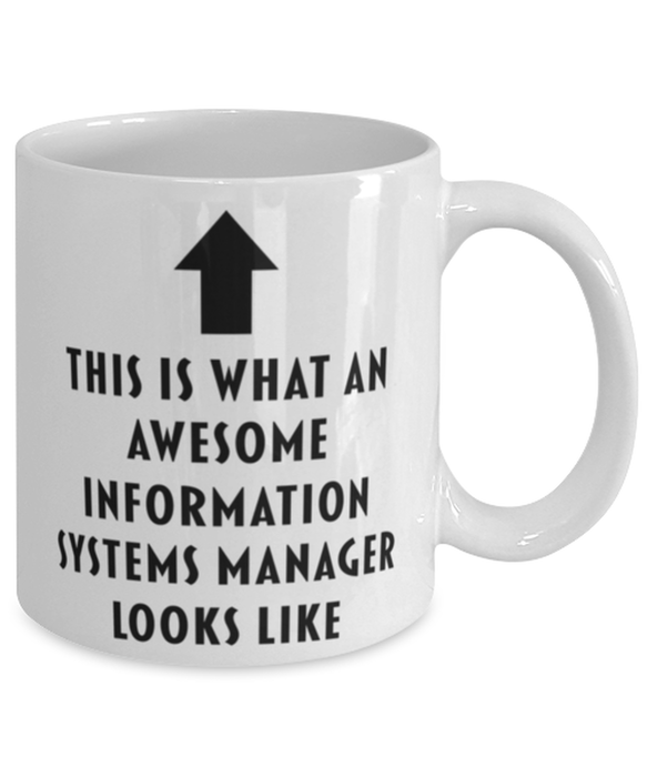 This is What an Awesome Information Systems Manager Looks Like Coffee Mug, Funny, Cheap, Inappropriate, Gift for, Mug