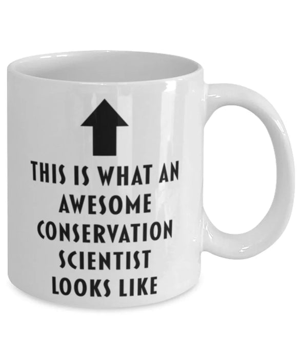 This is What an Awesome Conservation Scientist Looks Like Coffee Mug, Funny, Cheap, Inappropriate, Gift for, Mug