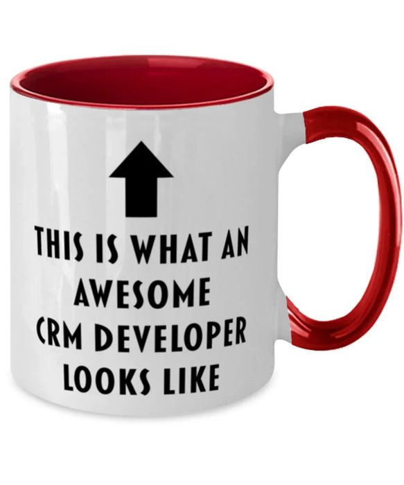 This is What an Awesome CRM Developer, Funny, Cheap, Inappropriate, Gift for, Red Two-Tone, CRM Developer Coffee Mug