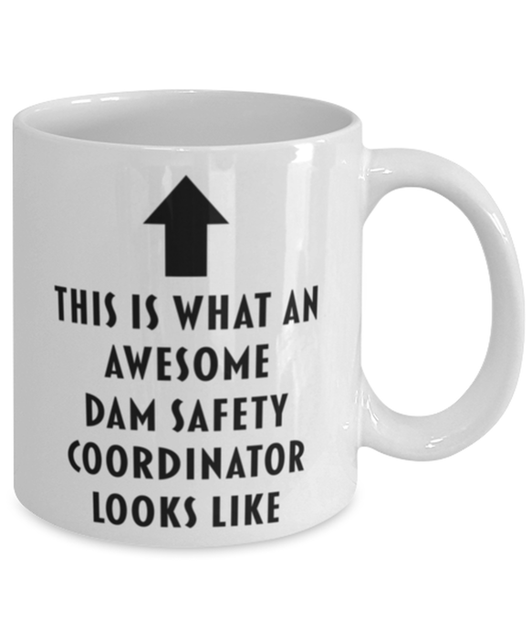 This is What an Awesome Dam Safety Coordinator Looks Like Coffee Mug, Funny, Cheap, Inappropriate, Gift for, Mug