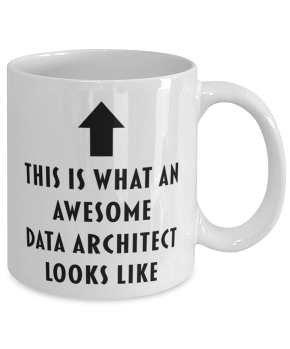 This is What an Awesome Data Architect Looks Like Coffee Mug, Funny, Cheap, Inappropriate, Gift for, Mug