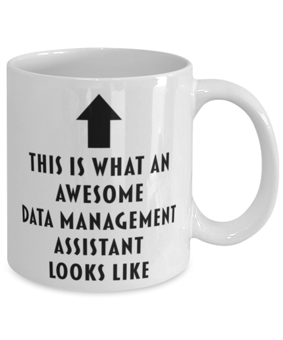 This is What an Awesome Data Management Assistant Looks Like Coffee Mug, Funny, Cheap, Inappropriate, Gift for, Mug