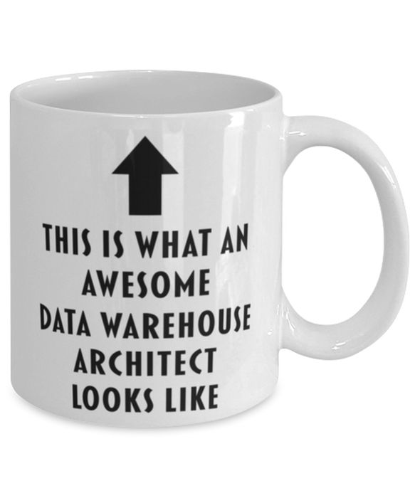 This is What an Awesome Data Warehouse Architect Looks Like Coffee Mug, Funny, Cheap, Inappropriate, Gift for, Mug