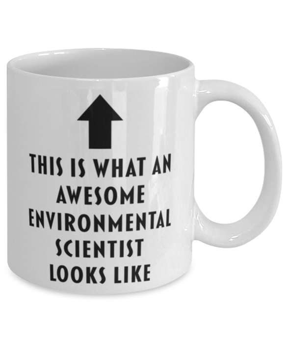 This is What an Awesome Environmental Scientist Looks Like Coffee Mug, Funny, Cheap, Inappropriate, Gift for, Mug